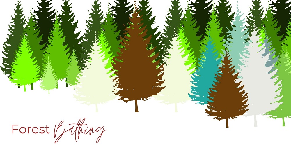 Forest Bathing Forest Bathing
